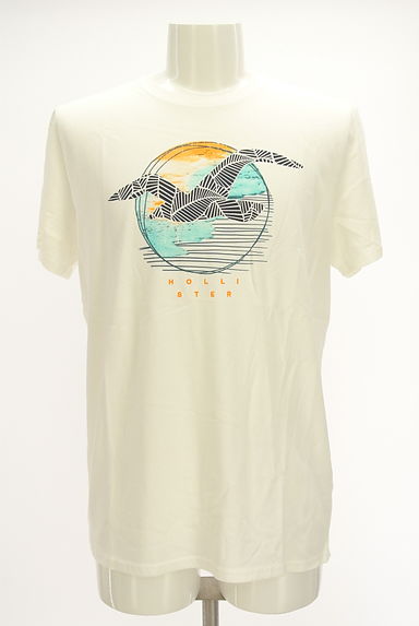 Hollister Co.（ホリスター）の古着「プリントTシャツ（Ｔシャツ）」大画像１へ