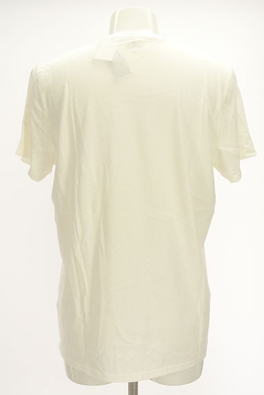 Hollister Co.（ホリスター）の古着「プリントTシャツ（Ｔシャツ）」大画像２へ