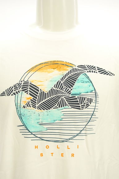 Hollister Co.（ホリスター）の古着「プリントTシャツ（Ｔシャツ）」大画像４へ