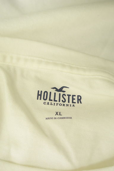 Hollister Co.（ホリスター）の古着「プリントTシャツ（Ｔシャツ）」大画像６へ