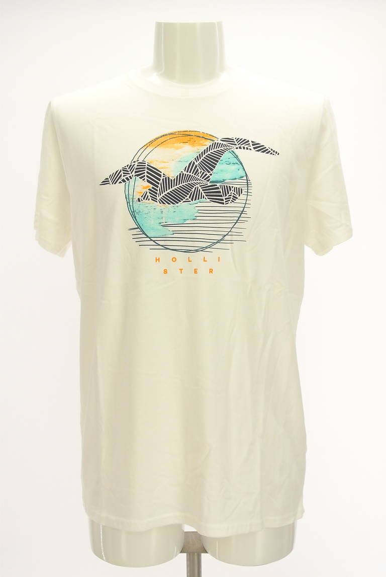 Hollister Co.（ホリスター）の古着「商品番号：PR10295835」-大画像1