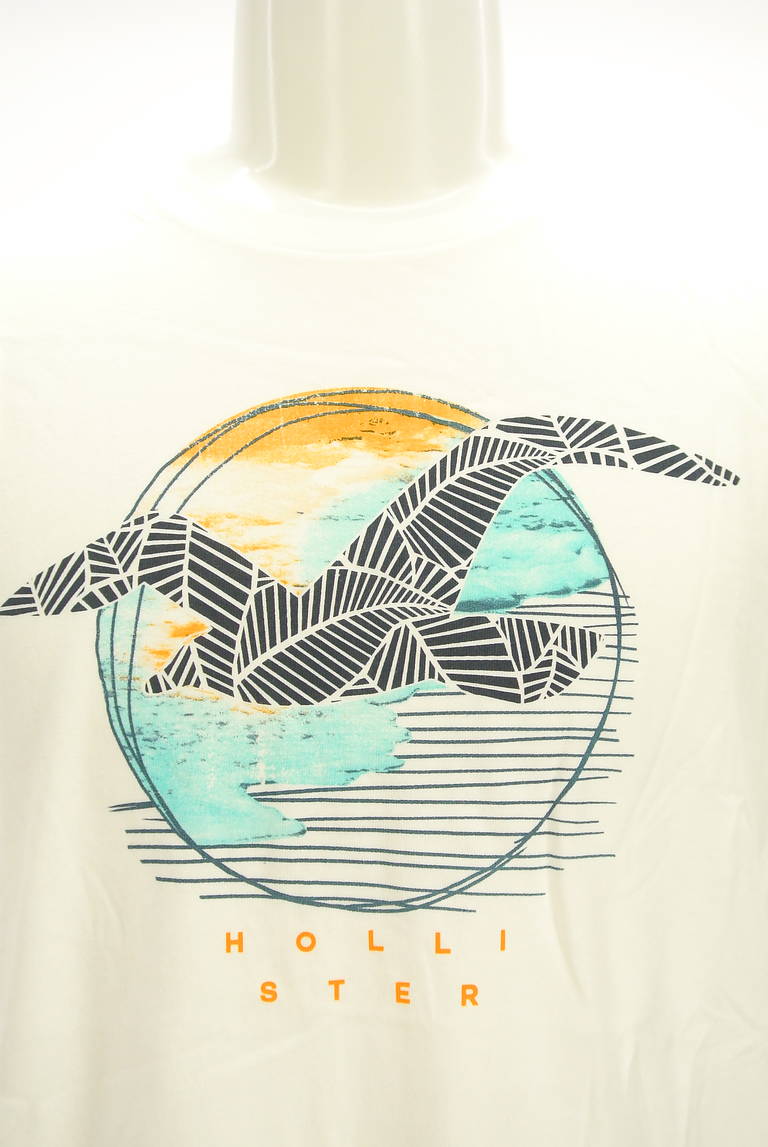 Hollister Co.（ホリスター）の古着「商品番号：PR10295835」-大画像4