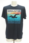 おすすめ商品 Hollister Co.の古着（pr10295836）