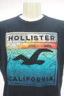 Hollister Co.（ホリスター）の古着「商品番号：PR10295836」-4
