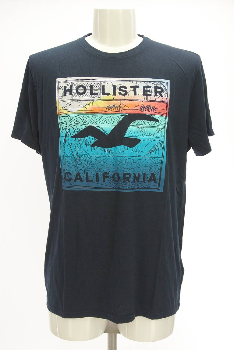 Hollister Co.（ホリスター）の古着「商品番号：PR10295836」-大画像1