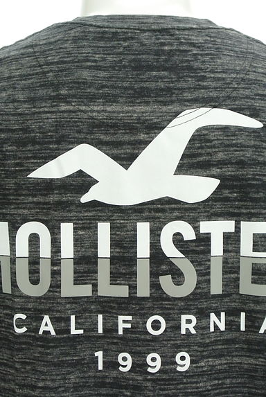 Hollister Co.（ホリスター）の古着「バックプリントTシャツ（Ｔシャツ）」大画像４へ
