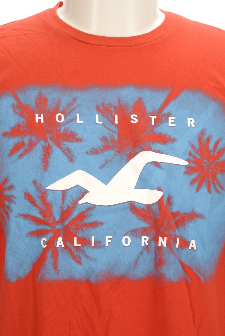Hollister Co.（ホリスター）の古着「商品番号：PR10295850」-大画像4