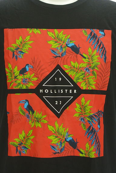 Hollister Co.（ホリスター）の古着「南国プリント半袖Ｔシャツ（Ｔシャツ）」大画像４へ