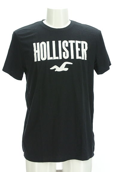 Hollister Co.（ホリスター）の古着「ビッグロゴ刺繍半袖Ｔシャツ（Ｔシャツ）」大画像１へ