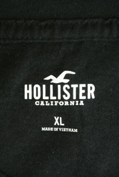 Hollister Co.（ホリスター）の古着「ビッグロゴ刺繍半袖Ｔシャツ（Ｔシャツ）」大画像６へ