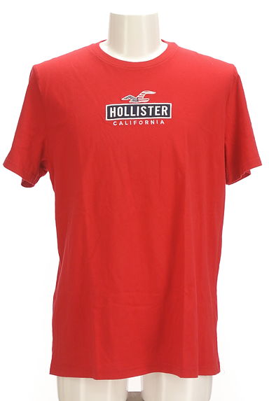 Hollister Co.（ホリスター）の古着「ロゴ刺繍Tシャツ（Ｔシャツ）」大画像１へ