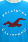 Hollister Co.（ホリスター）の古着「商品番号：PR10295866」-4
