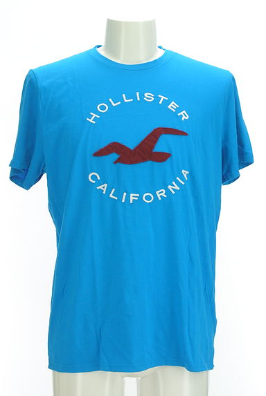 Hollister Co.（ホリスター）の古着「ロゴ刺繍半袖Ｔシャツ（Ｔシャツ）」大画像１へ