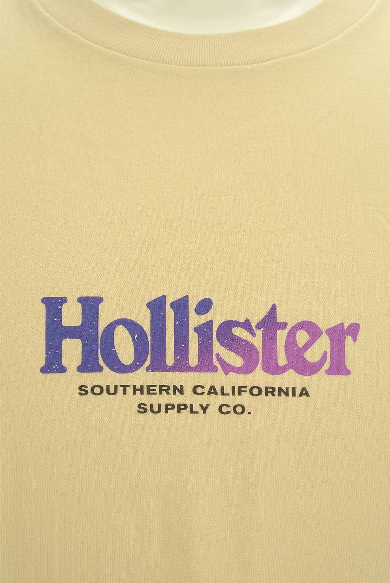 Hollister Co.（ホリスター）の古着「商品番号：PR10295868」-大画像4