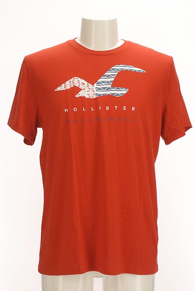 Hollister Co.（ホリスター）の古着「フロントプリントTシャツ（Ｔシャツ）」大画像１へ