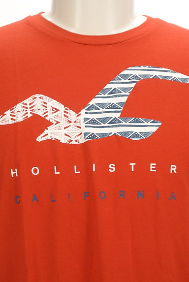 Hollister Co.（ホリスター）の古着「フロントプリントTシャツ（Ｔシャツ）」大画像４へ