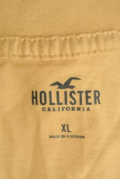 Hollister Co.（ホリスター）の古着「レインボー袖Tシャツ（Ｔシャツ）」大画像６へ