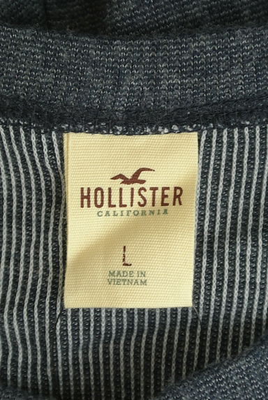 Hollister Co.（ホリスター）の古着「ヘンリーネック起毛プルオーバー（カットソー・プルオーバー）」大画像６へ