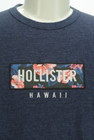 Hollister Co.（ホリスター）の古着「商品番号：PR10296728」-4