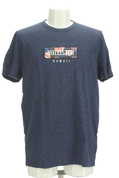 Hollister Co.（ホリスター）の古着「ハイビスカス柄ロゴ刺繍Tシャツ（Ｔシャツ）」大画像１へ