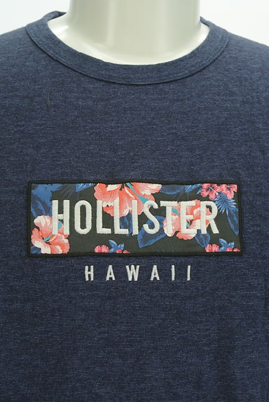 Hollister Co.（ホリスター）の古着「ハイビスカス柄ロゴ刺繍Tシャツ（Ｔシャツ）」大画像４へ