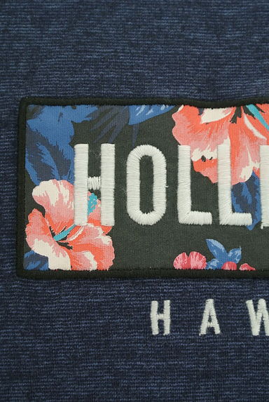 Hollister Co.（ホリスター）の古着「ハイビスカス柄ロゴ刺繍Tシャツ（Ｔシャツ）」大画像５へ