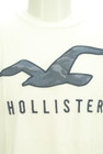 Hollister Co.（ホリスター）の古着「商品番号：PR10296742」-4