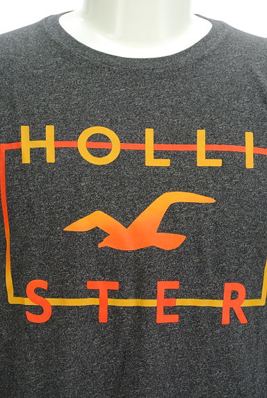 Hollister Co.（ホリスター）の古着「グラデーションロゴプリントTシャツ（Ｔシャツ）」大画像４へ