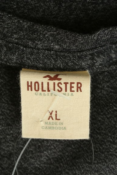 Hollister Co.（ホリスター）の古着「グラデーションロゴプリントTシャツ（Ｔシャツ）」大画像６へ