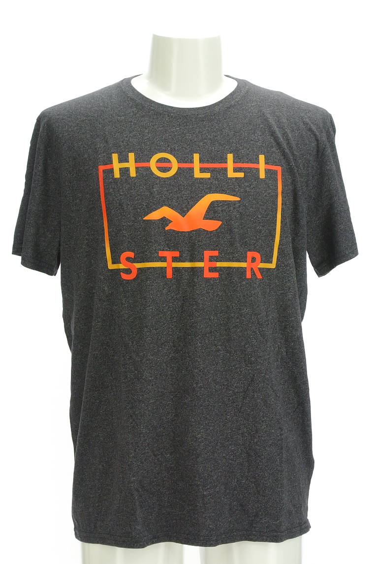 Hollister Co.（ホリスター）の古着「商品番号：PR10296749」-大画像1