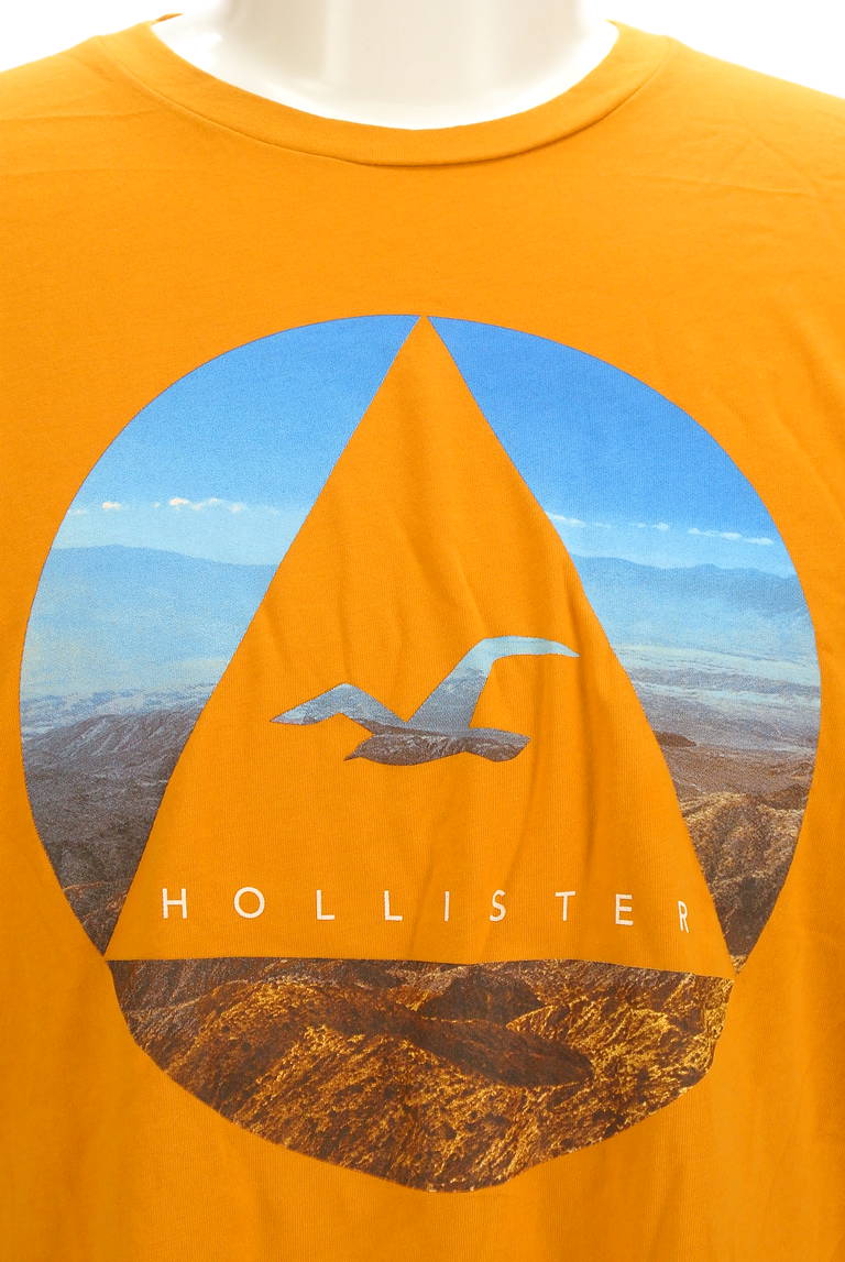 Hollister Co.（ホリスター）の古着「商品番号：PR10296752」-大画像4