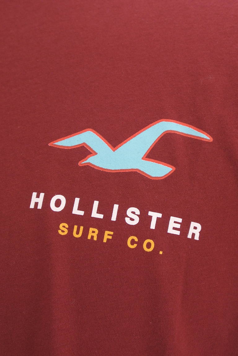 Hollister Co.（ホリスター）の古着「商品番号：PR10296758」-大画像4