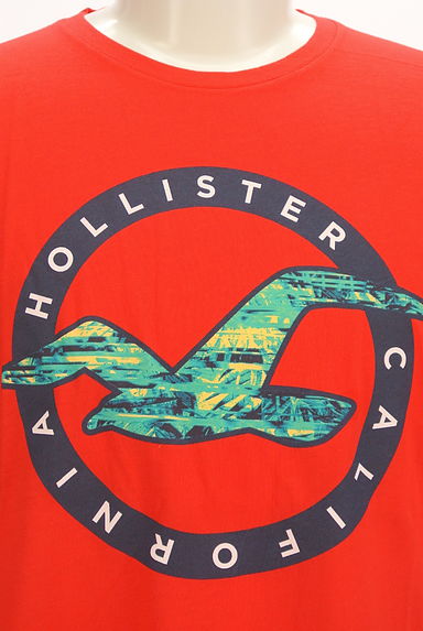 Hollister Co.（ホリスター）の古着「プリントTシャツ（Ｔシャツ）」大画像４へ