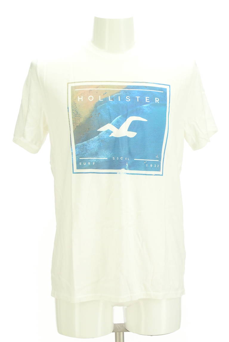Hollister Co.（ホリスター）の古着「商品番号：PR10296769」-大画像1