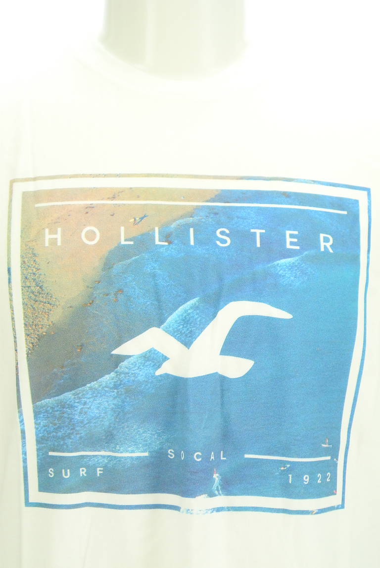 Hollister Co.（ホリスター）の古着「商品番号：PR10296769」-大画像4