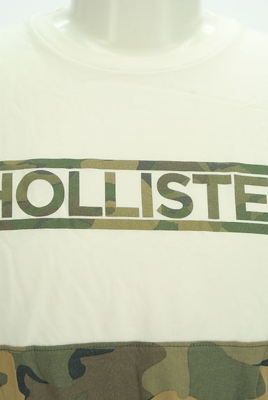 Hollister Co.（ホリスター）の古着「明細柄ロゴTシャツ（Ｔシャツ）」大画像４へ