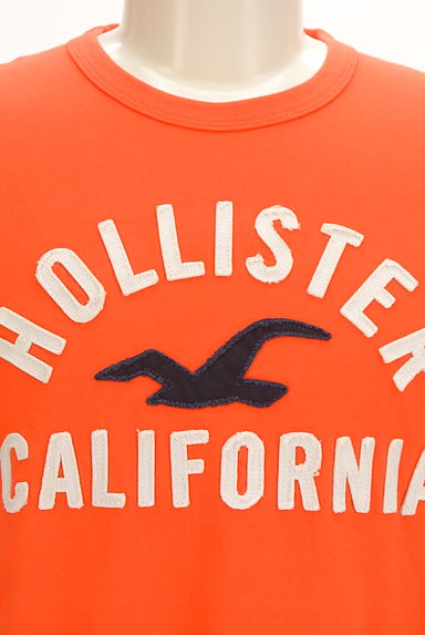 Hollister Co.（ホリスター）の古着「ブランドロゴTシャツ（Ｔシャツ）」大画像４へ