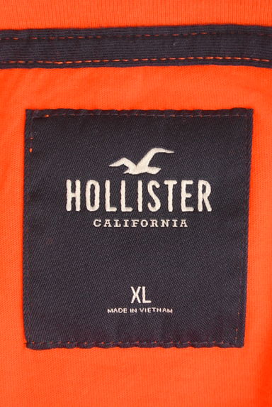 Hollister Co.（ホリスター）の古着「ブランドロゴTシャツ（Ｔシャツ）」大画像６へ
