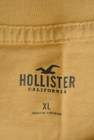Hollister Co.（ホリスター）の古着「商品番号：PR10296784」-6