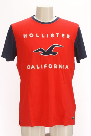 Hollister Co.（ホリスター）の古着「ブランドロゴ配色Tシャツ（Ｔシャツ）」大画像１へ