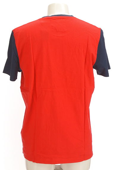 Hollister Co.（ホリスター）の古着「ブランドロゴ配色Tシャツ（Ｔシャツ）」大画像２へ