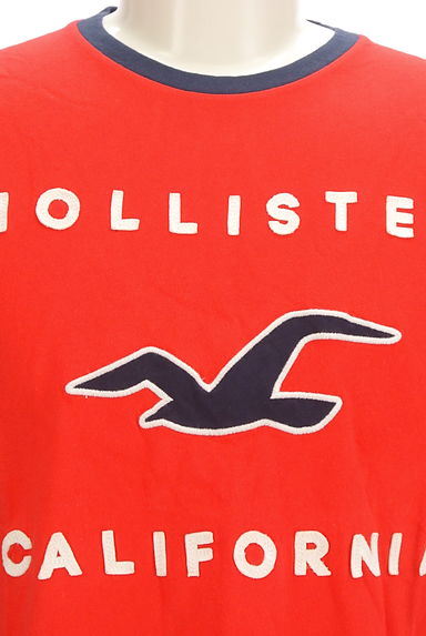 Hollister Co.（ホリスター）の古着「ブランドロゴ配色Tシャツ（Ｔシャツ）」大画像４へ