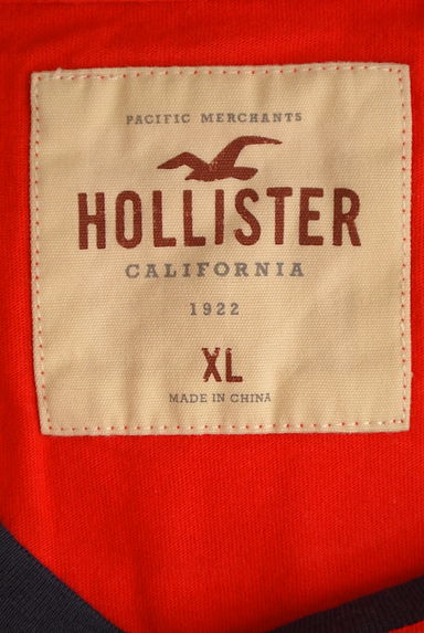 Hollister Co.（ホリスター）の古着「ブランドロゴ配色Tシャツ（Ｔシャツ）」大画像６へ