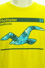 Hollister Co.（ホリスター）の古着「商品番号：PR10296799」-4