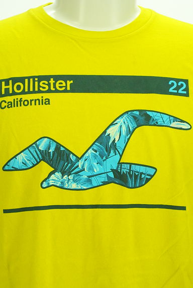 Hollister Co.（ホリスター）の古着「ボタニカルプリントTシャツ（Ｔシャツ）」大画像４へ