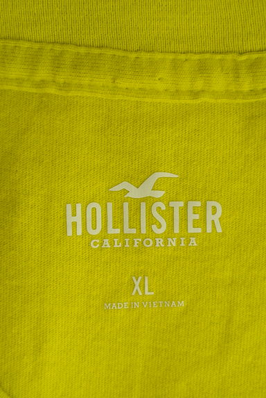 Hollister Co.（ホリスター）の古着「ボタニカルプリントTシャツ（Ｔシャツ）」大画像６へ