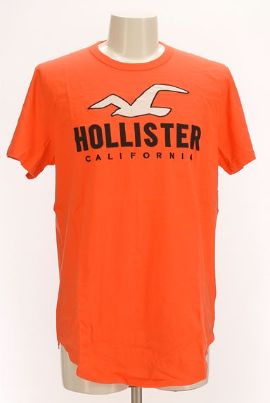 Hollister Co.（ホリスター）の古着「ラウンドヘムロゴTシャツ（Ｔシャツ）」大画像１へ
