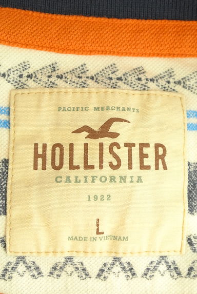 Hollister Co.（ホリスター）の古着「民族ボーダーポロシャツ（ポロシャツ）」大画像６へ