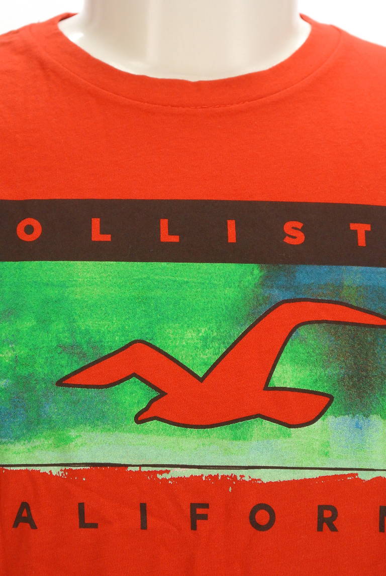 Hollister Co.（ホリスター）の古着「商品番号：PR10296810」-大画像4