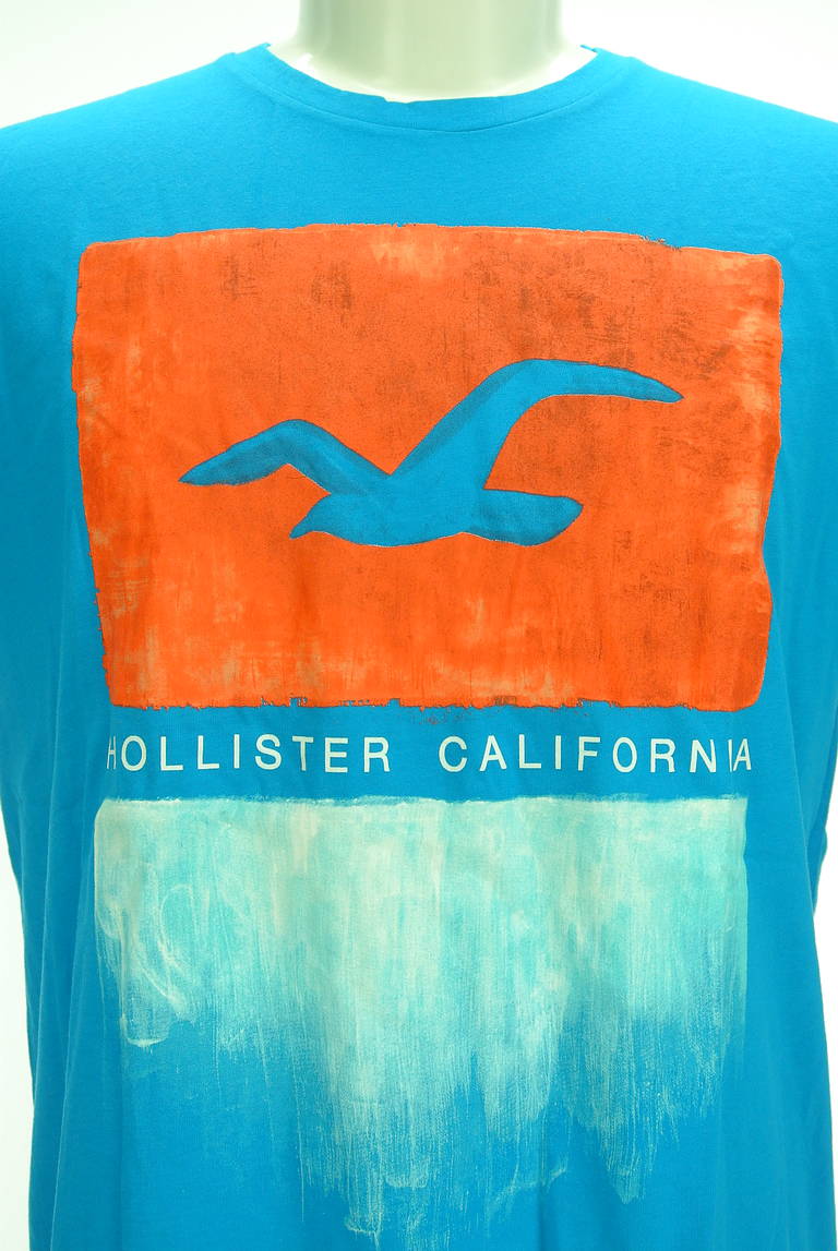 Hollister Co.（ホリスター）の古着「商品番号：PR10296812」-大画像4